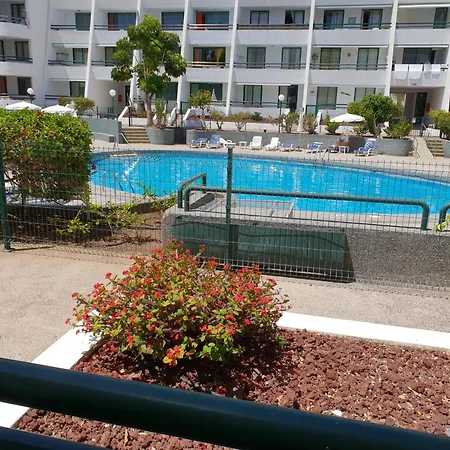 Apartment Casa Palmera 2 Only 150 Meters To The Beach, Heated Pool, Wifi, Sat-tv, Terrace, Location, Washing Machine
